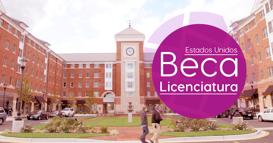 Estados Unidos: Becas Para Pregrado en Diversos Temas Salisbury University